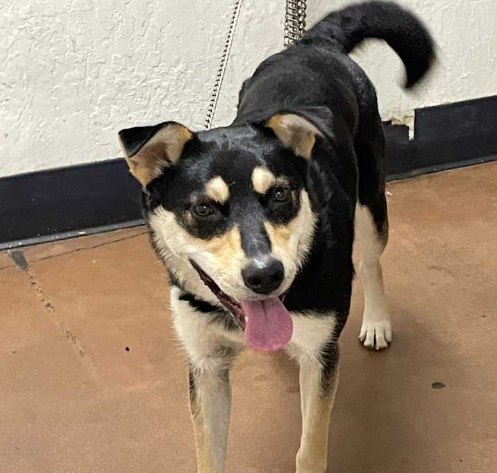 Photo of Aspen