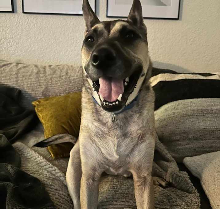 Photo of Luka AKA Pengu 5953