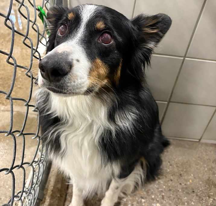 Photo of Maverick