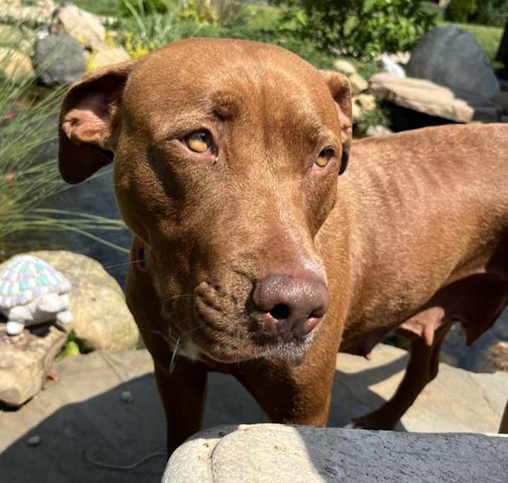 Photo of Rayn - In Foster
