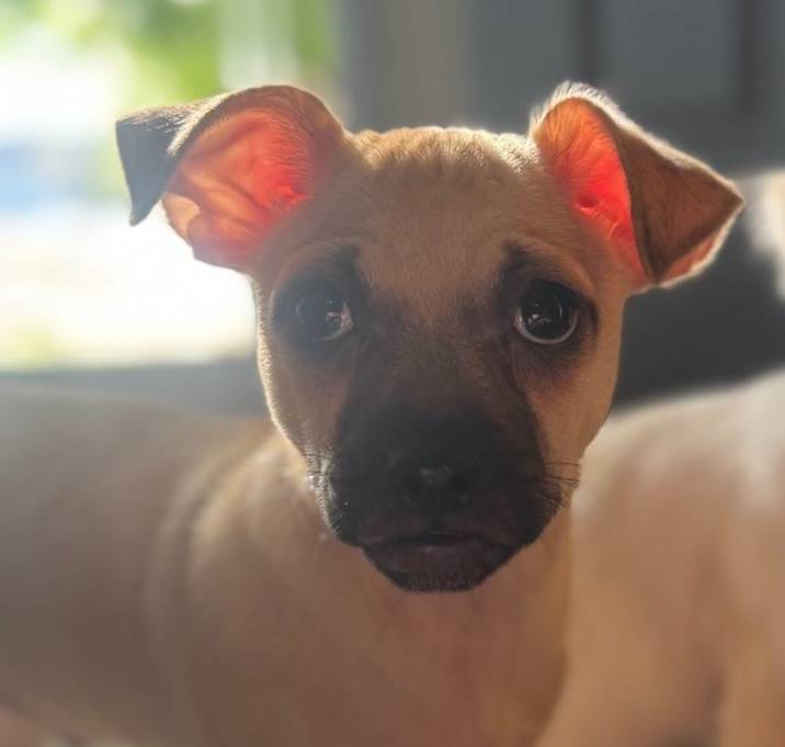 Photo of Waylon