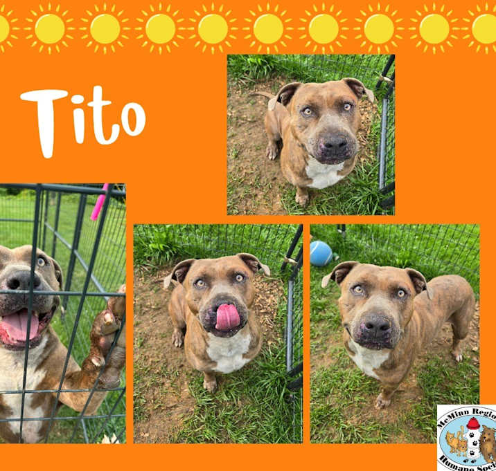 Photo of Tito