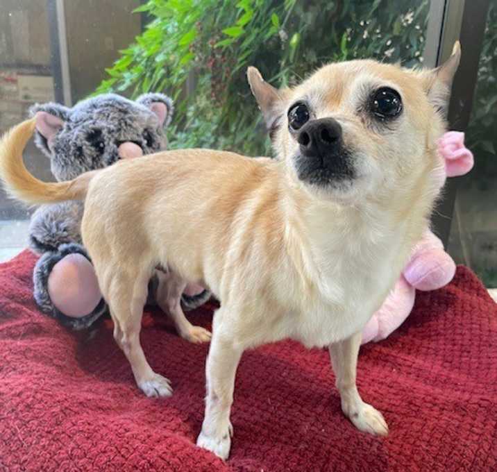 Photo of Lily