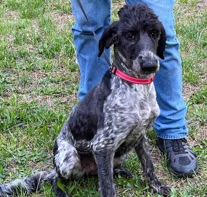 Photo of Max