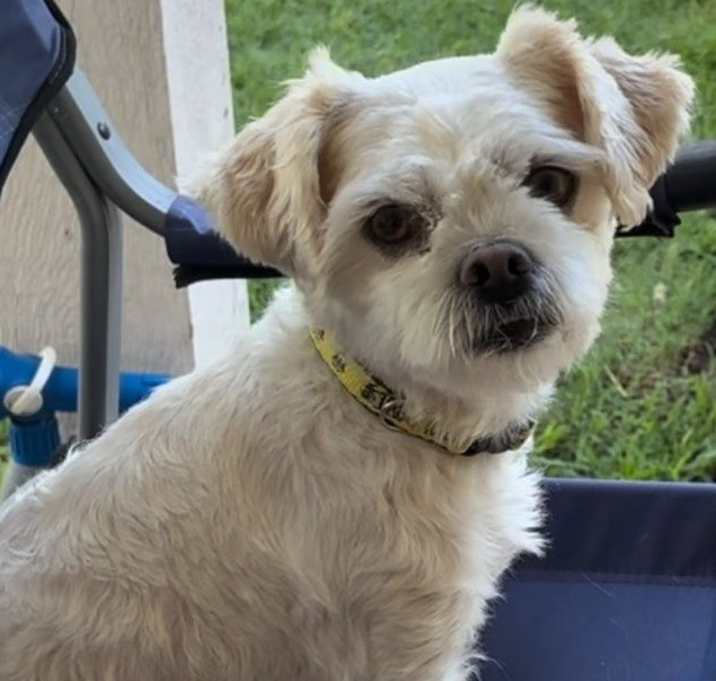 Photo of RICKY