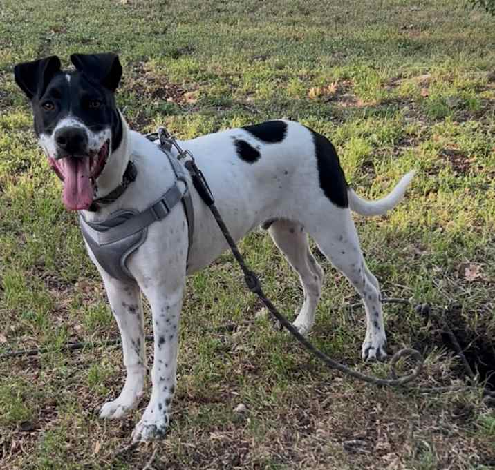 Photo of Finn!