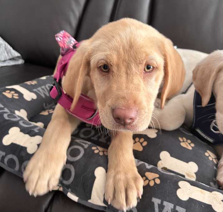 Photo of Hazel
