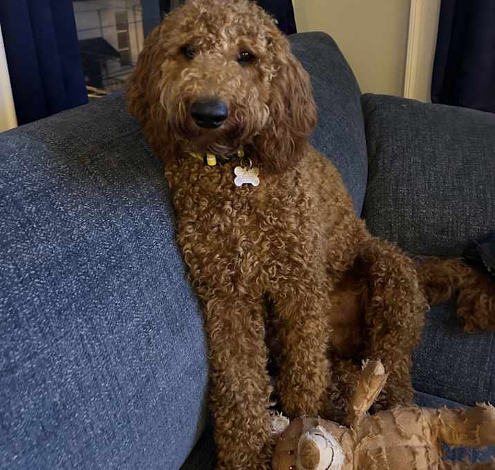 Photo of Bucky