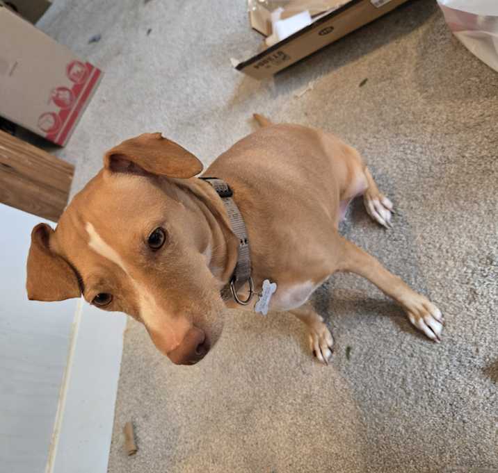 Photo of Cali