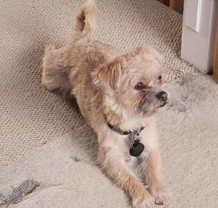 Photo of Skipper