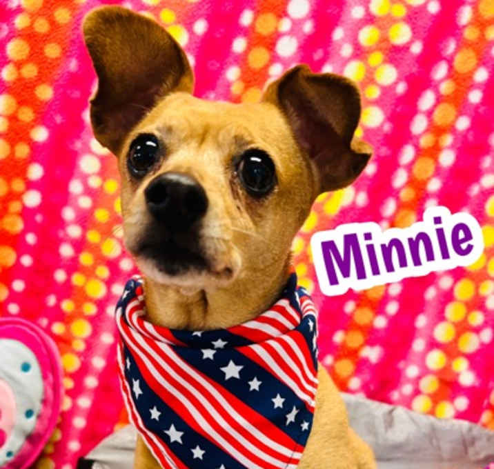 Photo of Minnie