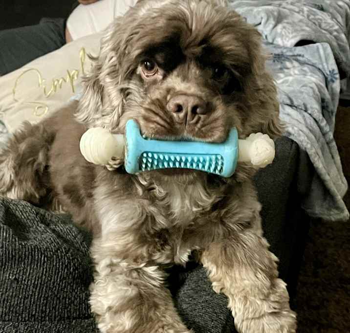 Photo of Sammy