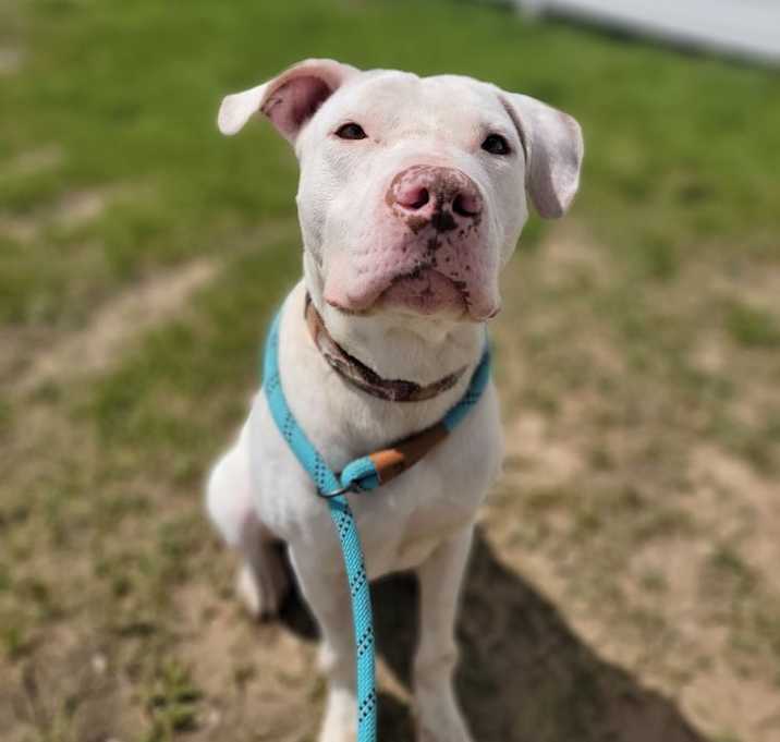 Photo of Ghost