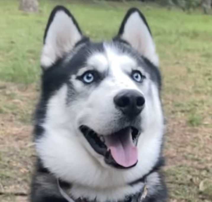 Photo of Ghost