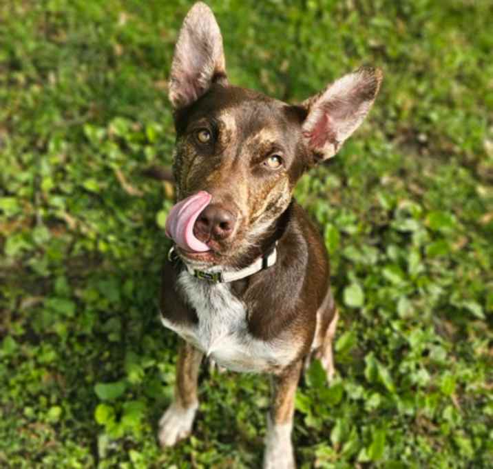 Photo of Chase