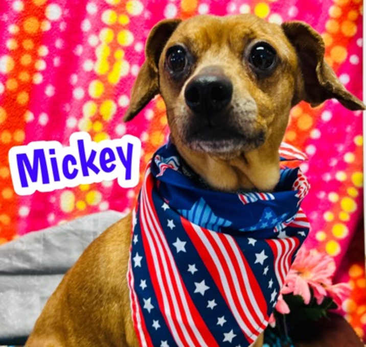Photo of Mickey
