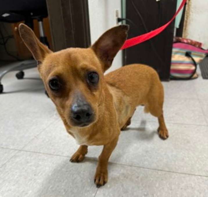 Photo of Turbo
