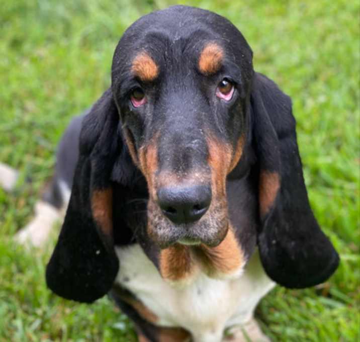 Photo of Charlie
