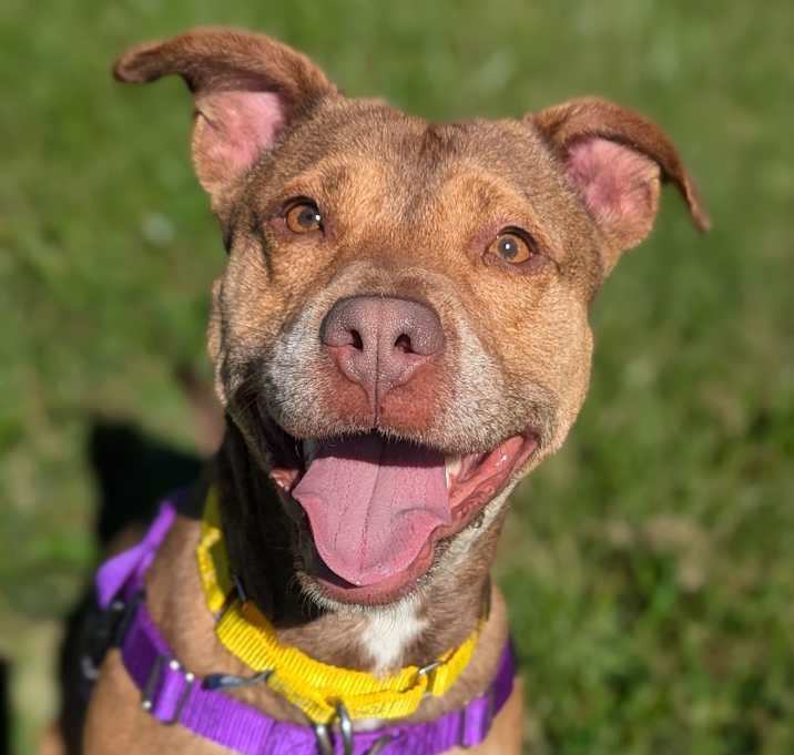 Photo of Sadie