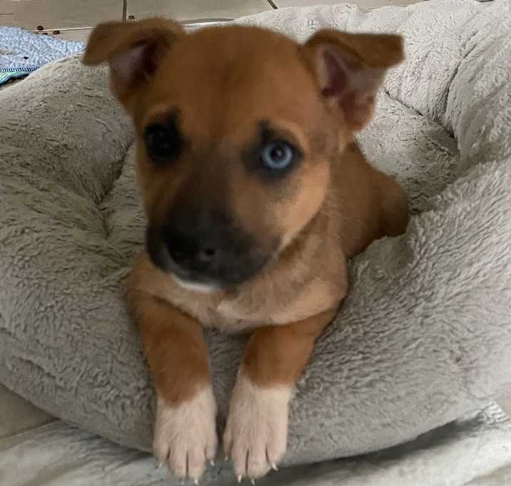 Photo of KNOX