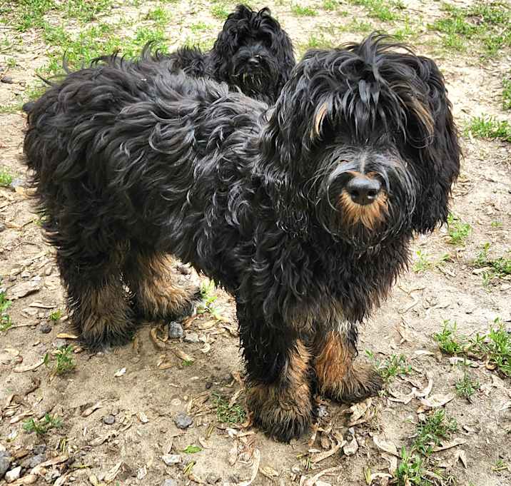 Photo of Lexie