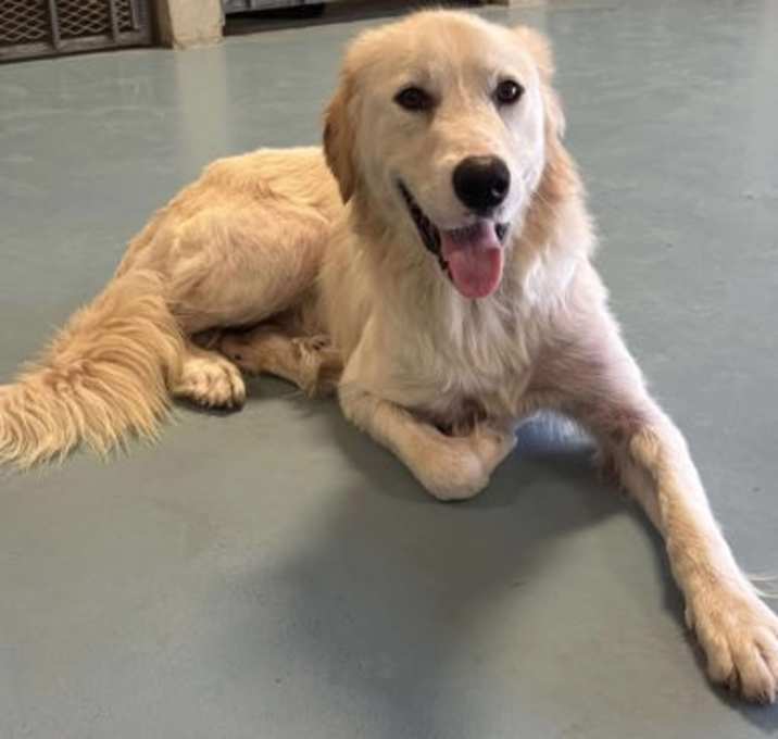 Photo of Odin