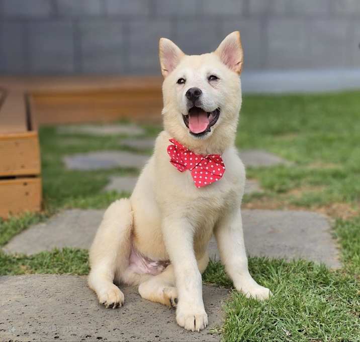 Photo of Lovey