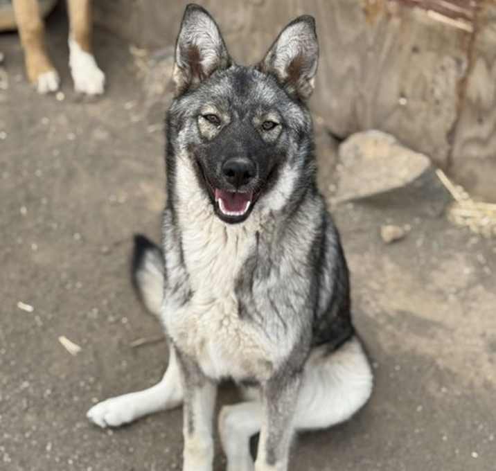 Photo of Trixie
