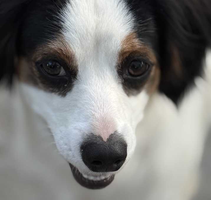 Photo of Bonnie
