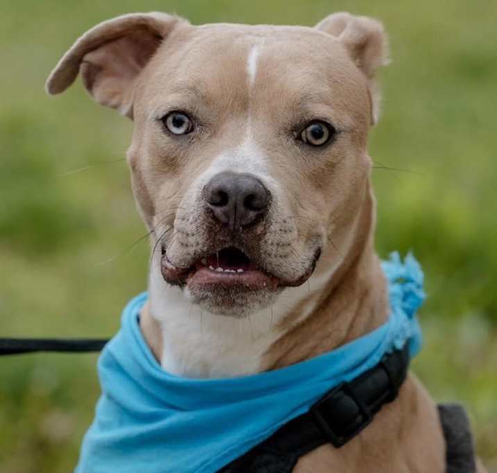 Photo of Buddy