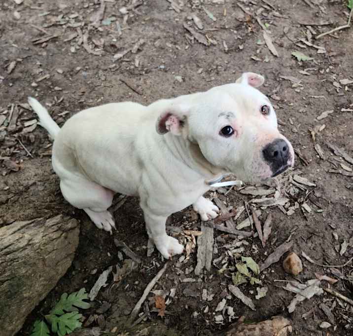 Photo of Zeus