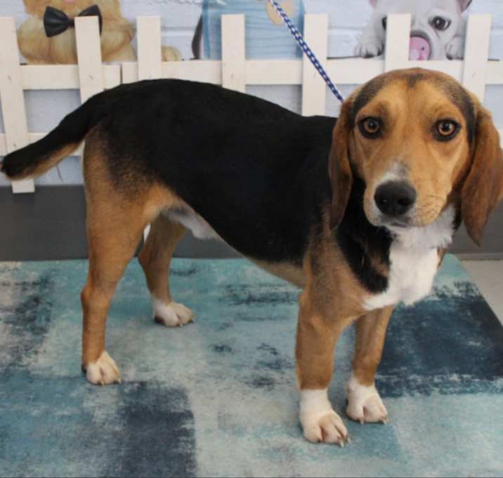 Photo of Marco URGENT HELP!