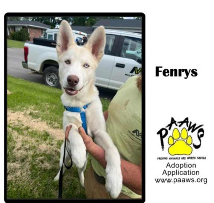 Photo of Fenrys