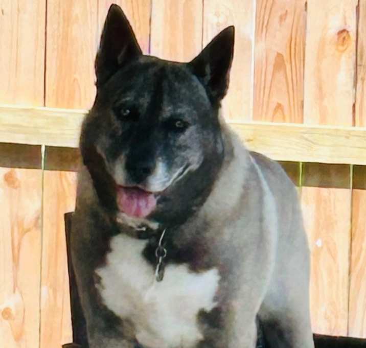 Photo of Zeus