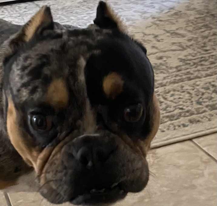 Photo of Benny