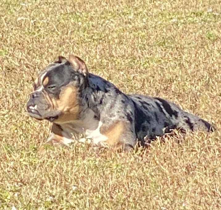 Photo of Benny