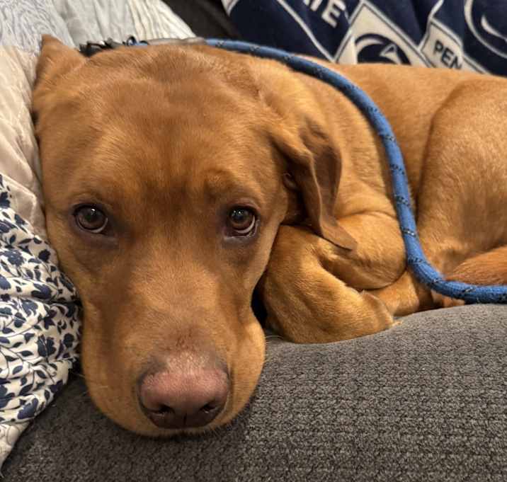 Photo of Hercules