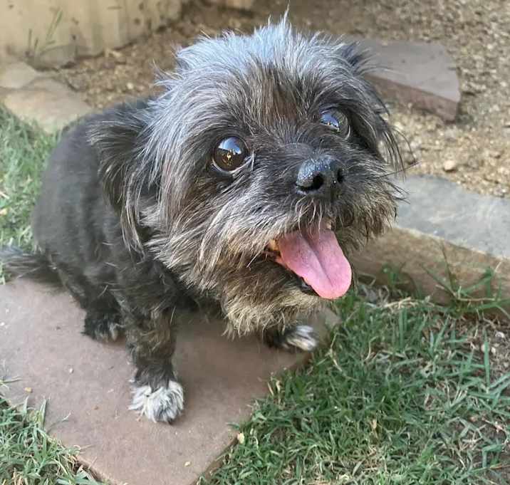 Photo of Sophie