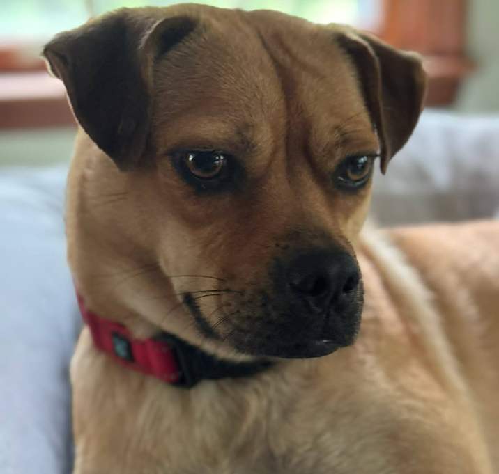 Photo of Delilah