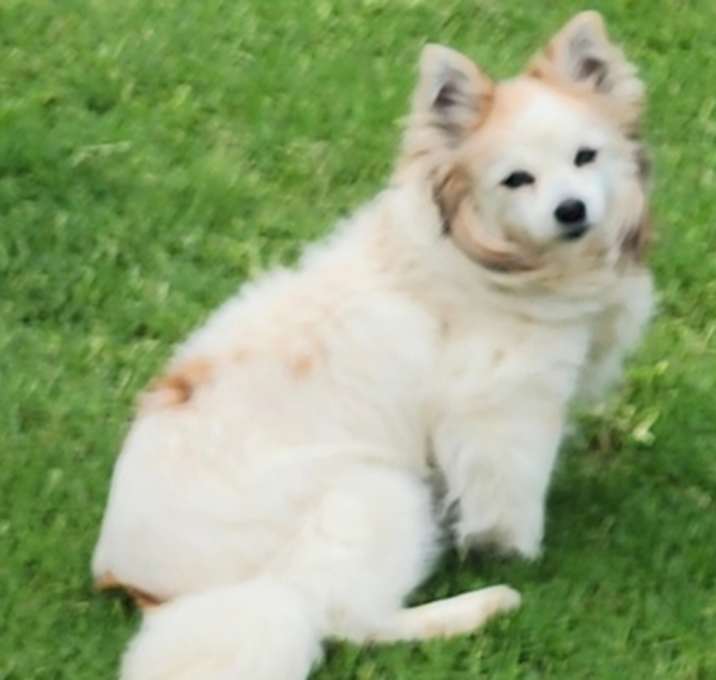 Photo of Izzy