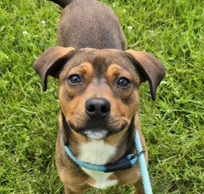 Photo of Rocket