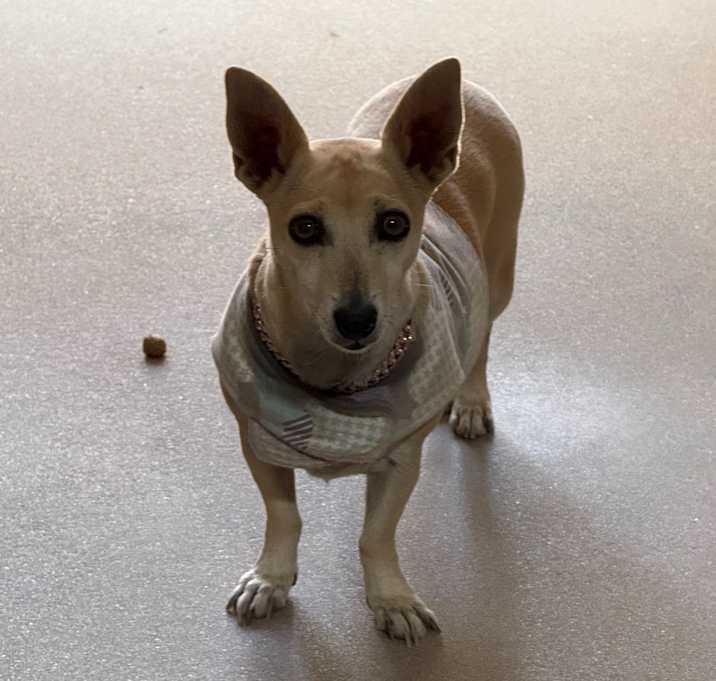 Photo of Chloe