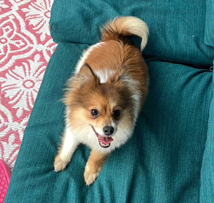 Photo of Honey