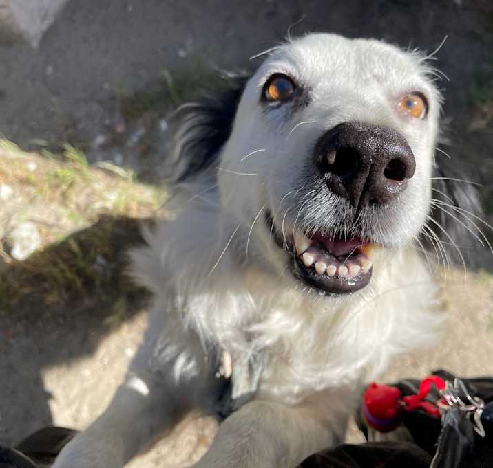 Photo of Patches