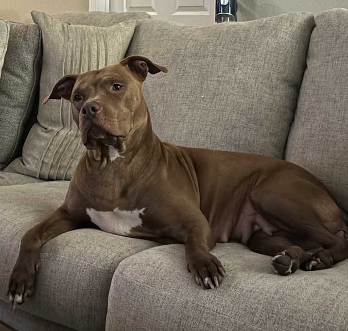 Photo of Willow