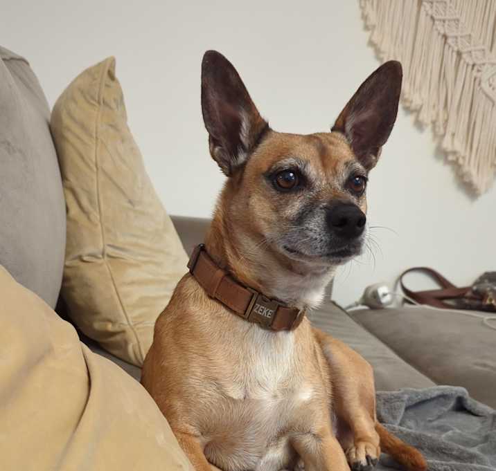 Photo of Zeke