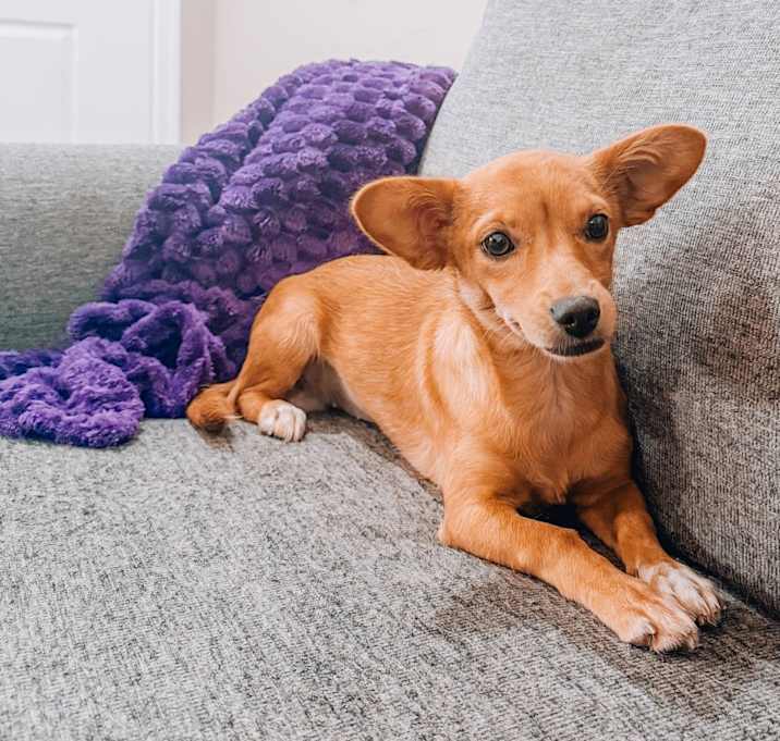 Photo of Rosita