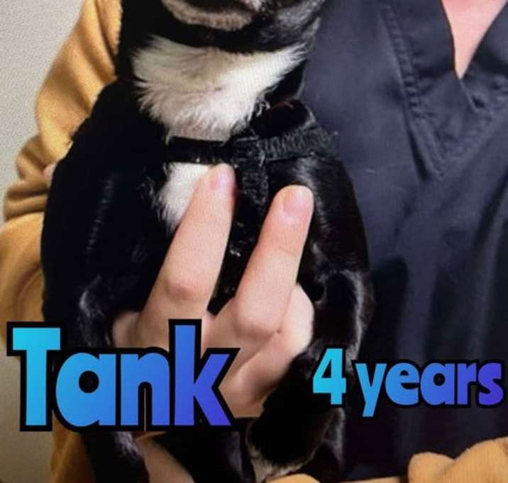 Photo of TANK