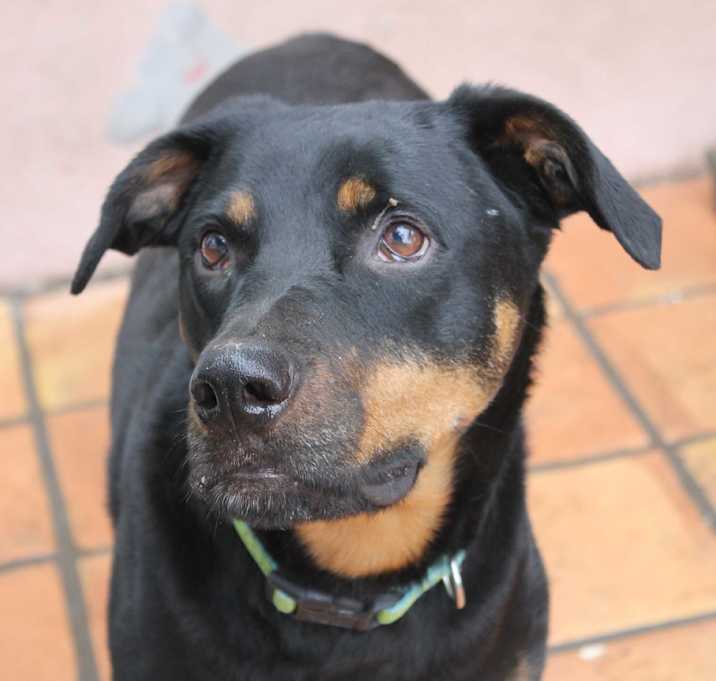 Photo of PHOENIX