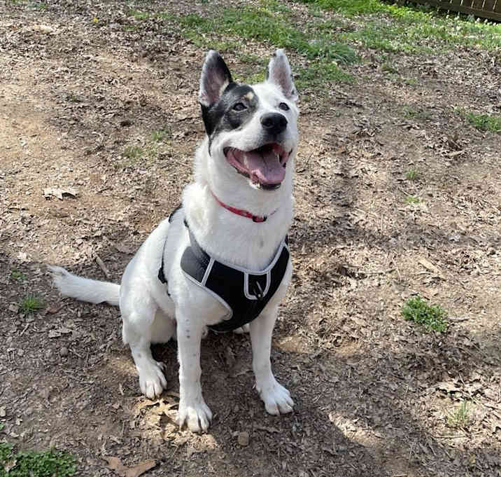 Photo of Zuko